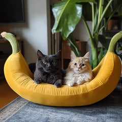 Collection image for: Pet Beds