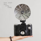 26CM camera