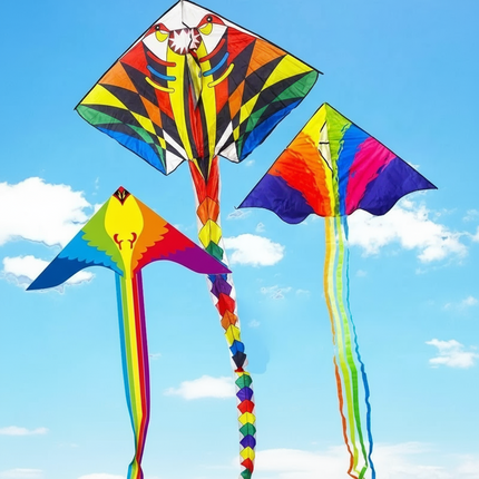 Colorful Long Tail Outdoor Rainbow Kite
