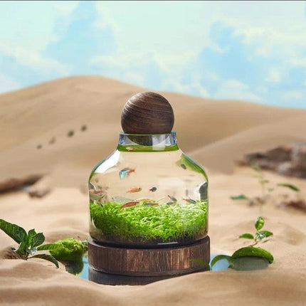 Micro Aquarium Compact Glass Ecological Fish Tank