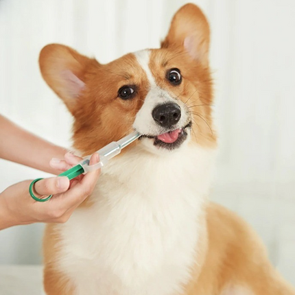 Easy Pet Medicine Feeding Syringe