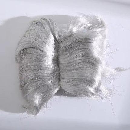 Auntie Style Funny Pet Wig