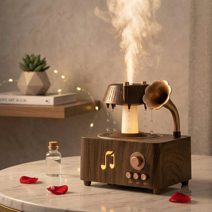 Vintage Rotating Gramophone Air Humidifier