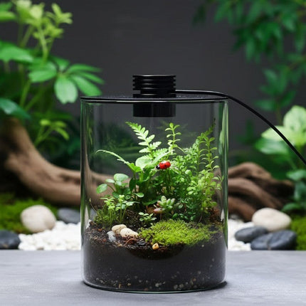 Mini Forest Maker Terrarium Decor Vase
