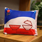 pilow with blanket 1