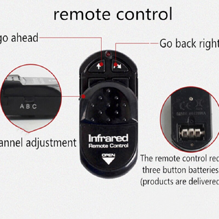 Remote Controlled Cockroach Bug Toy
