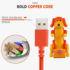 ORANGE / TYPE C