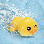 wink-duck