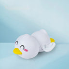 Pirate White Duck