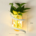 White color / Warm Light