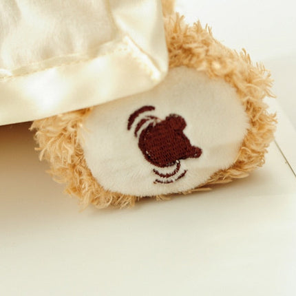 Interactive Peek a Boo Bear Kids Toy