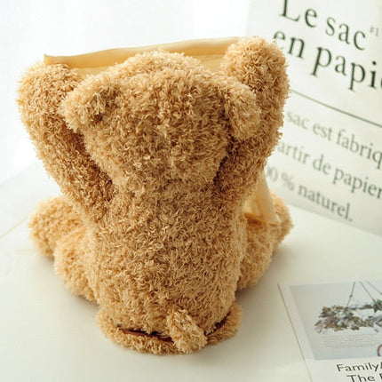 Interactive Peek a Boo Bear Kids Toy