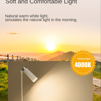 Rotating USB Desk Night Light