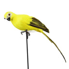 F