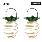 30LEDS-2pcs
