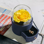 Yellow Round Box