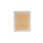 Translucent 03
