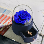 D Blue Round Box