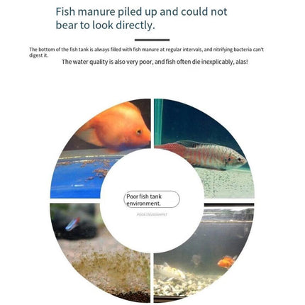 Automatic Fish Stool Collector Vacuum