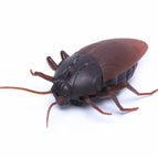 Cockroach