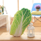 cabbage