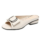Beige White / 34
