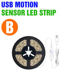 Warm White / TypeB-USB Motion / 1m