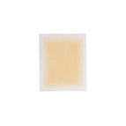 Translucent 02