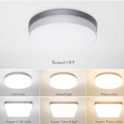 Natural Room Sleek LED Ceiling Light