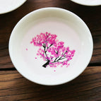 Cherry Blossoms