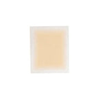 Translucent 01