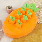 Carrot 2