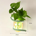 Green Color / White Light