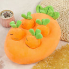 Carrot 1