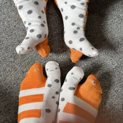 Playful Eel Stripe Cozy Crew Socks
