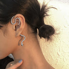 Snake Silver