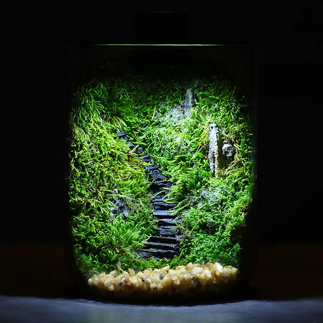 Mini Forest Maker Terrarium Decor Vase