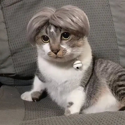 Auntie Style Funny Pet Wig