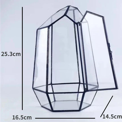 Modern Geometric Nature-Inspired Botanical Terrarium