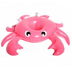 Crab