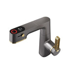 Grey Gold Faucet