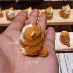 orange cat