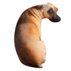 50CM-B