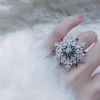 silver ring 1