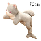 2-70cm