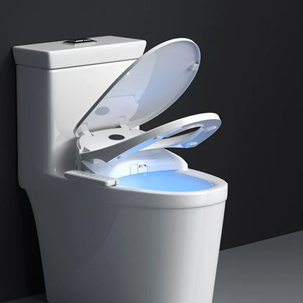 Intelligent Smart Easy Fresh Cleaning Hydro Massager Bidet