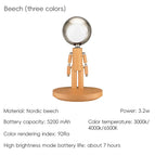 Beech tricolor Light