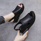 Black / 35