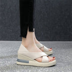 Beige / 35