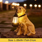 Labrador A